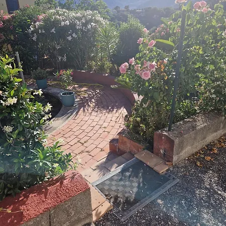 Sous L'olivier * Ментона