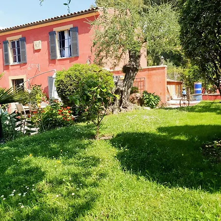 Sous L'olivier